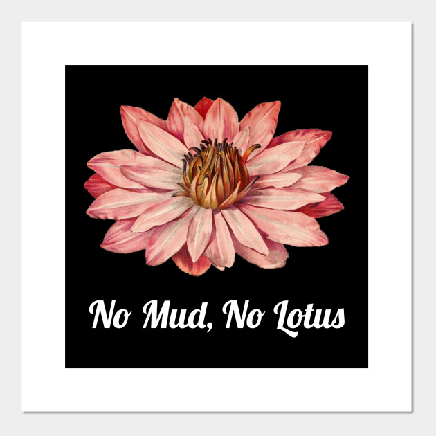 No Mud, No Lotus Botanical Flower Lotus Flower Posters and Art